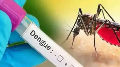 dengue   ಸೊಳ್ಳೆ ಕಚ್ಚಿ ಎಷ್ಟು ದಿನಗಳ ನಂತರ ಡೆಂಗ್ಯೂ ಬರುತ್ತದೆ   ತಡೆಯುವುದು ಹೇಗೆ   