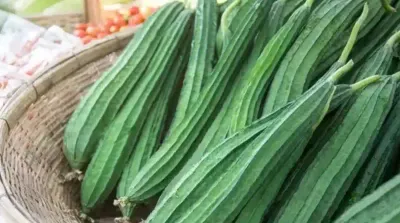 ridge gourd   ಹೀರೇಕಾಯಿ ತಿಂದರೆ ಹೆಚ್ಚಿನ ಆರೋಗ್ಯ ಸಮಸ್ಯೆಗಳು ದೂರ    