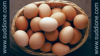 egg   ದಿನಕ್ಕೊಂದು ಮೊಟ್ಟೆ ತಿಂದರೆ ಏನು ಉಪಯೋಗ  